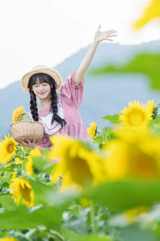 [YITUYU艺图语]2025.02.18 向日葵 夏芋小年 - 艺图语